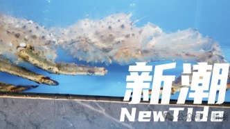 观点 | 高校食堂改革不会止于一只帝王蟹