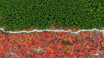 新華社聚焦+國家地理推薦！濟南蝎子山“鴛鴦鍋”秋景太驚艷了！