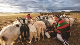  在金色童話里 找到人間最純粹的答案