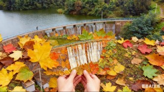 在鋼城，“AI”上“撿秋”