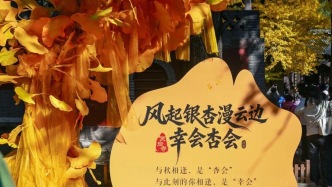 《2025濟南賞銀杏地圖》出爐！一鍵收藏，趕快出發！