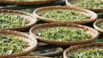 2分钟分析我国茶叶贸易现状