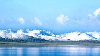 青海德令哈柏樹山地區(qū)發(fā)現(xiàn)916歲“樹王”