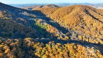 沿G334穿行吉林，触摸东北抗联的“红色血脉”