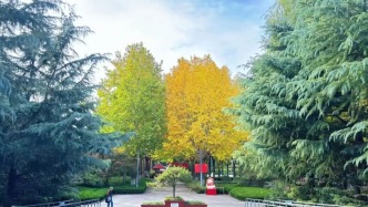 公園景區(qū)秋色圖鑒，這幾處必打卡