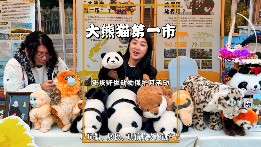 綿陽太低調了，竟然是大熊貓第一市，如今更是建起了大熊貓基地