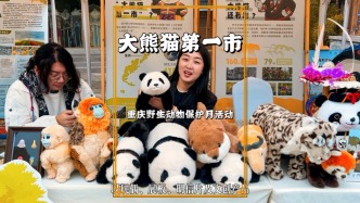 綿陽太低調了，竟然是大熊貓第一市，如今更是建起了大熊貓基地