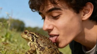 这种蟾蜍能让人“灵魂出窍”？真相比你想的更致命