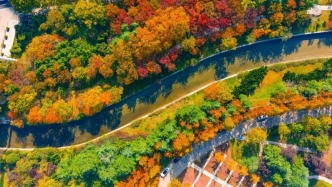 打卡限時浪漫，一鍵收藏隱珠街道最美秋色！