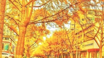 2025天水黄金大道文旅周，邀你入画！