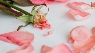 餓了么，“消失”在17歲