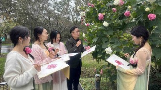 江蘇蘇州：芙蓉花開迎客來