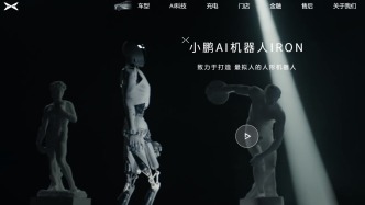 何小鹏：对不起，IRON……