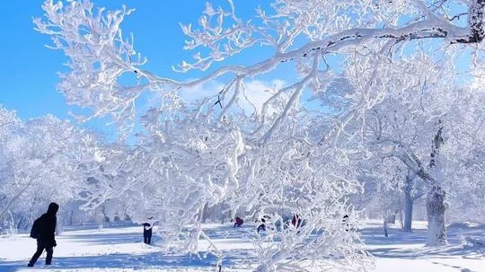 到最东边下大雪，大雪飘在漠河边