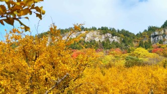 嶧州印象 | 秋去冬來，榴園那么美