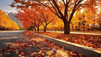 老師，把您的照片發(fā)我看看唄！