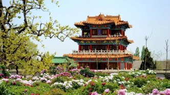 董宇輝向世界推薦，“請花幾天時間去山東”！