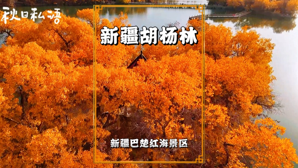 漫步新疆巴楚胡楊林，仿佛闖進一片童話世界，每一步都踏在夢幻里