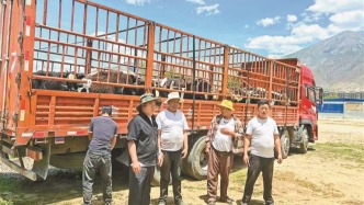 用真心體察民情 以實(shí)干溫暖民心 ——拉薩市城關(guān)區(qū)蔡公堂街道“百日走村入戶大調(diào)研”小記