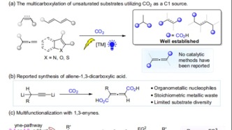 兰州大学科研团队光催化新突破：CO2与甲酸盐协同构建高价值联烯二羧酸