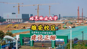 北京林業(yè)大學：雄安校區(qū)2026年底竣工，2027年首批3.2萬名師生入駐