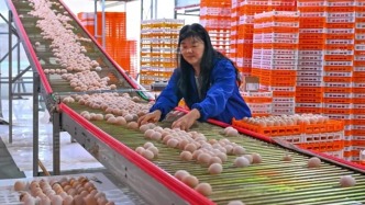 供大于求？雞蛋，又便宜了