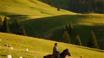 2分钟分析我国肉羊产业现状！