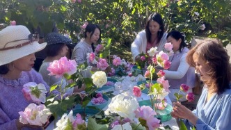 江蘇蘇州：疏影芙蓉——蘇式插花記