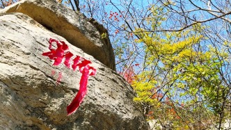 嶧州印象 | 秋意未央 青山入畫