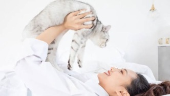 養(yǎng)寵三年，我家貓的恩格爾系數(shù)已經(jīng)比我低了