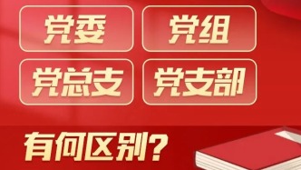 黨委、黨組、黨總支和黨支部有何區(qū)別？
