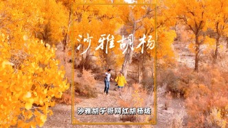 秋游新疆沙雅，金秋时节层林尽染，如同坠入童话世界