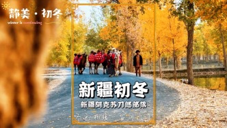 初冬漫游新疆，骆驼在胡杨林中穿行，随手一拍皆如诗如画