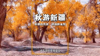 新疆秋季自駕游，車輪碾過戈壁蒼茫，車窗框住漫天金黃