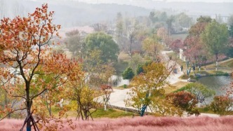 田曦薇、胡一天打卡西海岸！約你來玩！