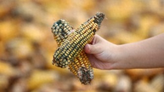 帕金森還沒熬透，又被肺癌堵了氣