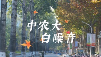 中农大秋日白噪音｜1分钟治愈你的焦虑