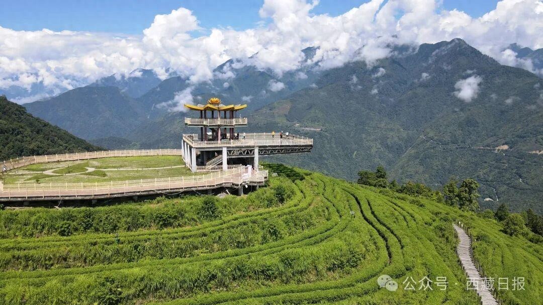 辉煌60载魅力新西藏」113000000元！墨脱真棒！