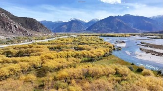 【辉煌60年·新时代西藏答卷】雅尼河谷披新绿 生态增收两相宜