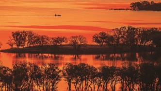 这里的绿水青山会“跳舞”？白城湿地的20年奇迹