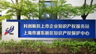为企业创新发展护航，浦东专利预审跑出“加速度”