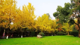 杜甫的“以文為詩”不過是偶一為之