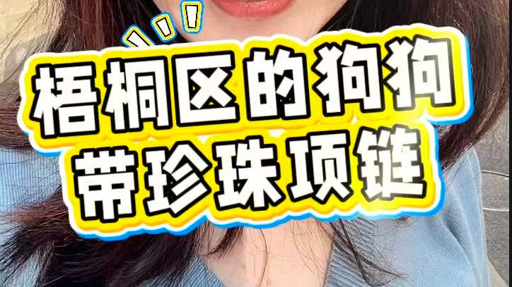 到底是上海！梧桐區(qū)的狗狗帶珍珠項鏈