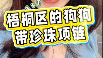 到底是上海！梧桐區(qū)的狗狗帶珍珠項鏈