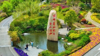 張忠心：青山之上的忠誠守護(hù)者