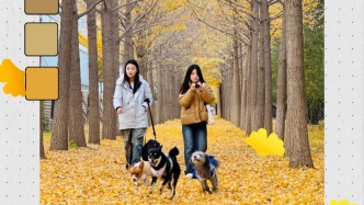 北京亦莊初冬限定“調(diào)色盤”等您來打卡！