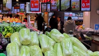 小亦喊您来囤冬储菜啦！