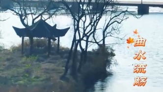 初冬里的茶业——齐风鲁韵 山水茶业