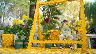 趵突泉秋日浪漫上新，銀杏打卡點成游客新寵