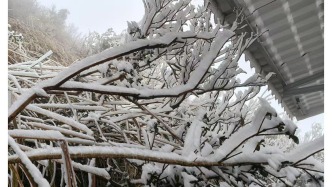19-20日广东体感寒凉 海陆风大